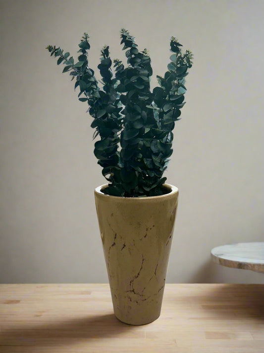 Stone Vase with Dried Eucalyptus