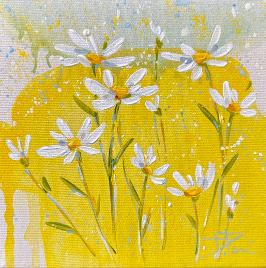 Little Daisies